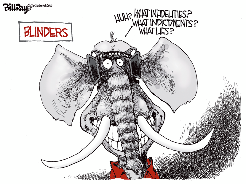 Elephant Blinders