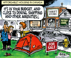 AFFORDABLE by Steve Nease