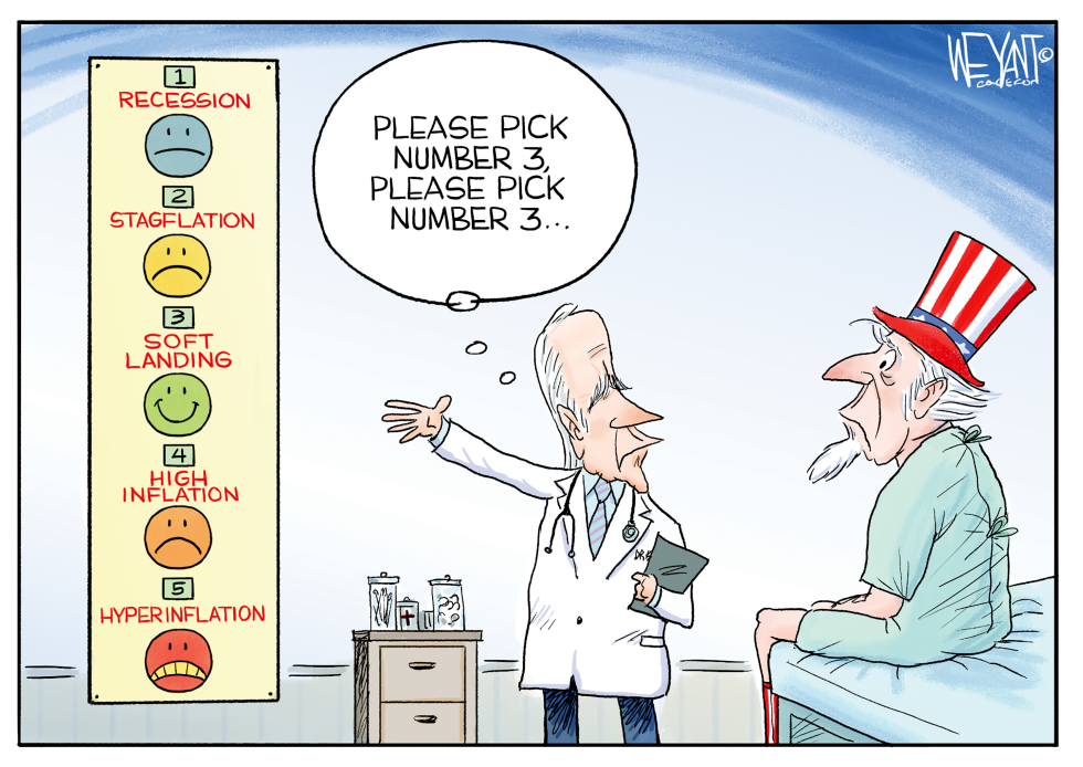 Economic Pains
