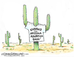 ARIZONA ABORTION BAN by Dave Granlund