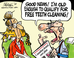 DENTAL PLAN by Steve Nease