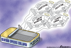 SEAFOOD COLLAPSE by Steve Greenberg