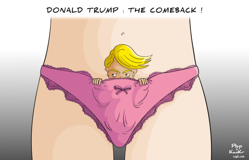 donald-trump--the-comeback.png