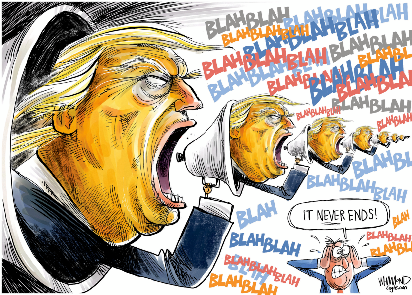 Maga Phone