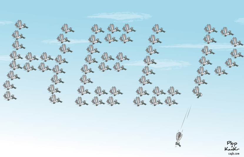 Bird decline