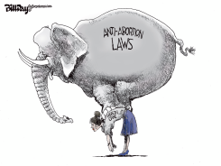 ANTI-ABORTION LAWS by Bill Day