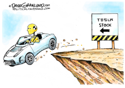 TESLA STOCK PLUNGE by Dave Granlund