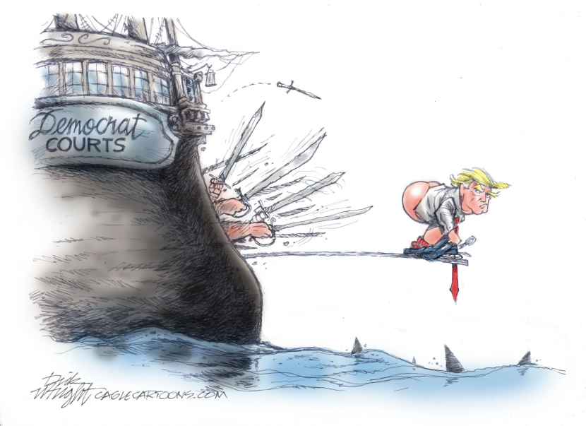 Trump vs Courts