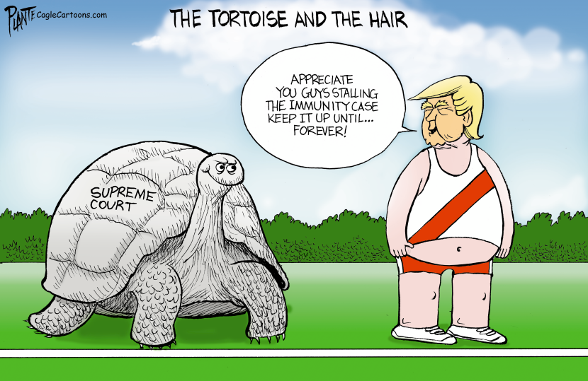 The Tortoise and the Hair