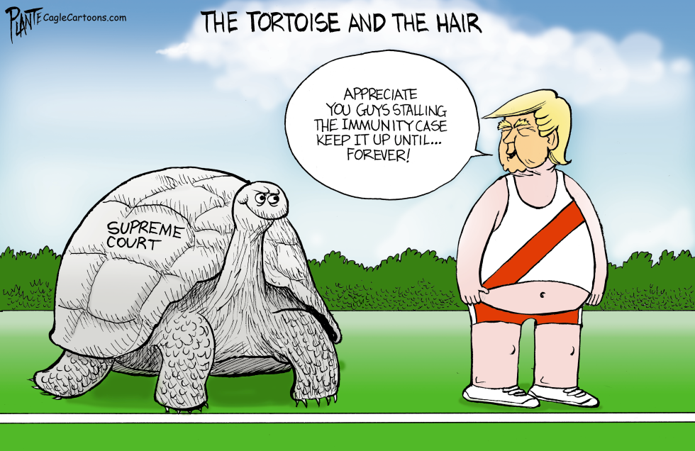 THE TORTOISE AND THE HAIR by Bruce Plante