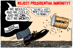 PRESIDENTIAL IMMUNITY by Monte Wolverton