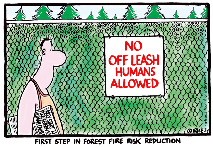 Forest Fire Risk Reduction