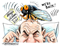 CICADAS ON TOUR by Dave Granlund