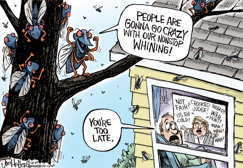 Trump Whining