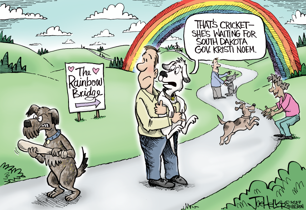 Rainbow Bridge Cartoons