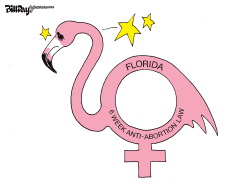 FLORIDA 6 WEEK LAW by Bill Day