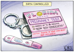 BIRTH CONTROLLED by Christopher Weyant