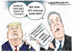 TRUMP TRIAL COLD AND HEAT by Dave Granlund