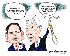 TRUMP 2024 VP HOPEFUL by Dave Granlund