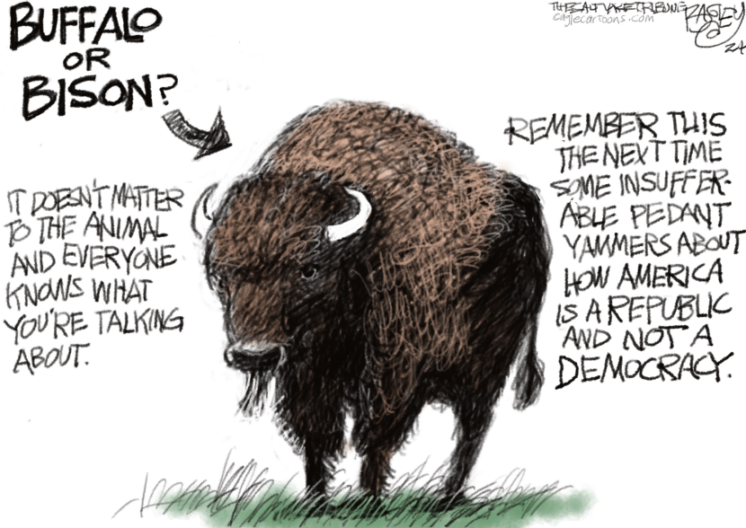 Being Buffaloed