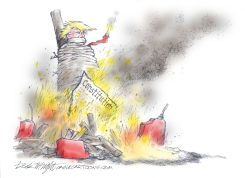 TRUMP TRIALS by Dick Wright