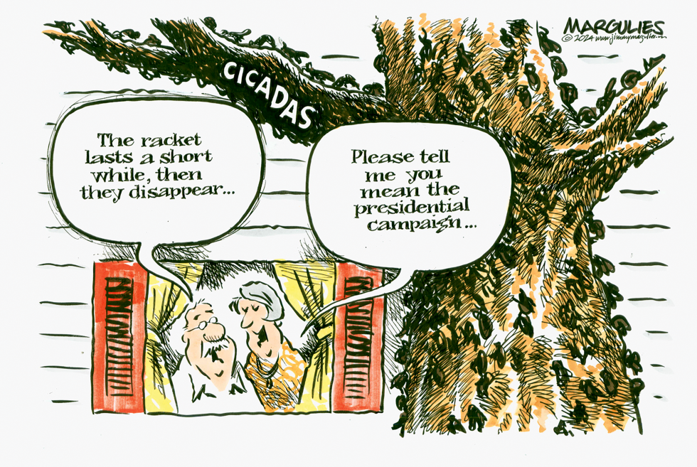 CICADAS EMERGE by Jimmy Margulies