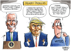 MEMORY PROBLEMS by Dave Whamond