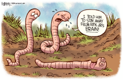 RFK JR BRAIN WORM by Rick McKee