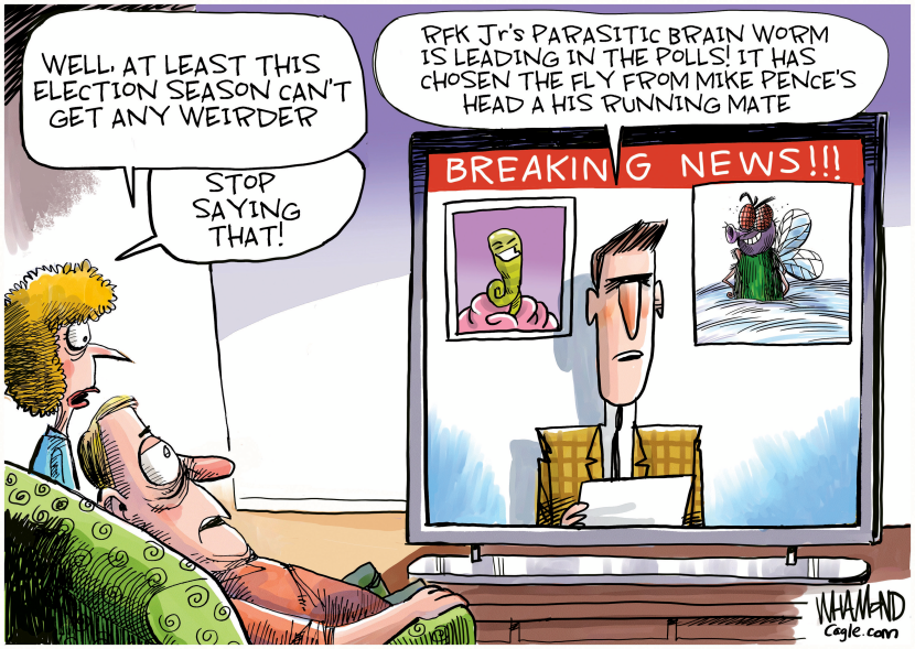 Weird Election Season