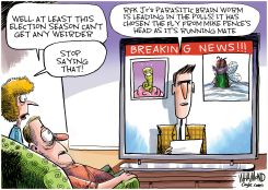 WEIRD ELECTION SEASON by Dave Whamond