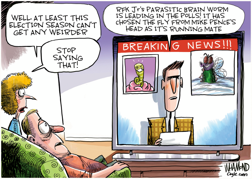 Weird Election Season
