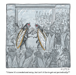 CICADAS EMERGE by Peter Kuper