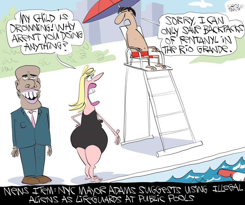 Illegal Alien Lifeguards