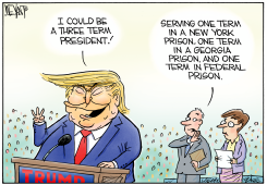 TRUMP'S TERMS by Christopher Weyant