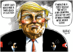 TRUMP REICH by Dave Whamond