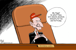 THE MANY FLAGS OF ALITO by Bruce Plante