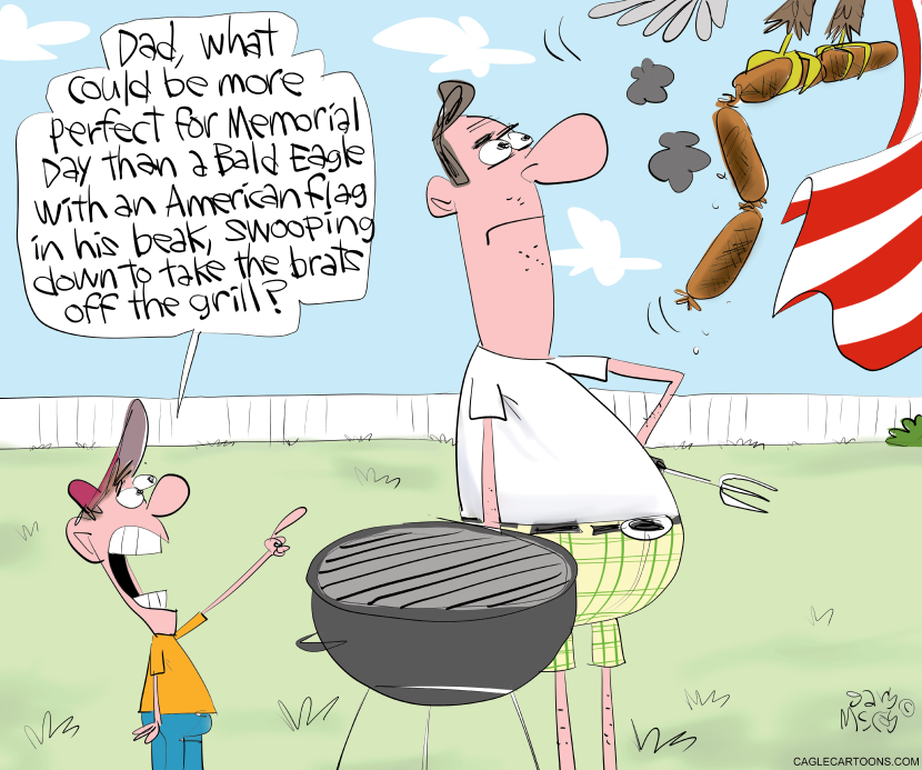 Bald Eagle Swoops In for Memorial Day Brats Heist
