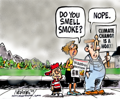 SMOKE by Steve Nease