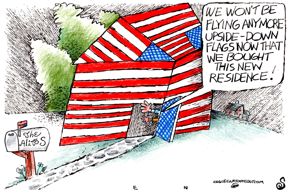 ONE MORE FLAG CARTOON