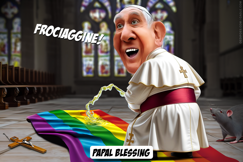Pope Francis used derogatory term for gay people