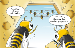 BEE VS HORNET by Plop and KanKr