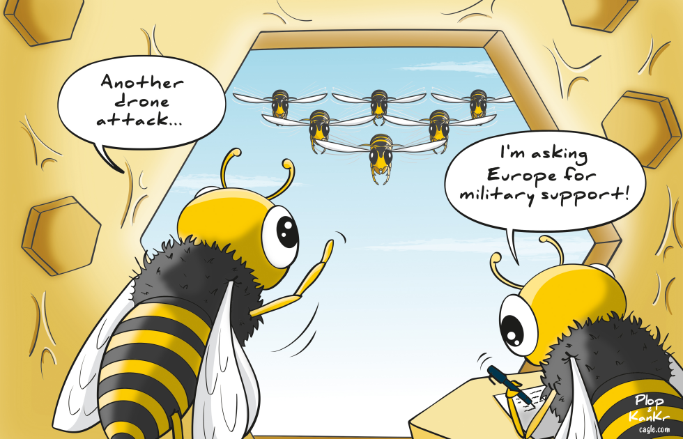 Bee VS Hornet
