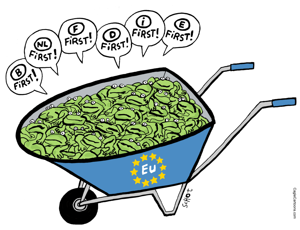 European elections