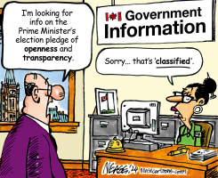 TRANSPARENCY by Steve Nease