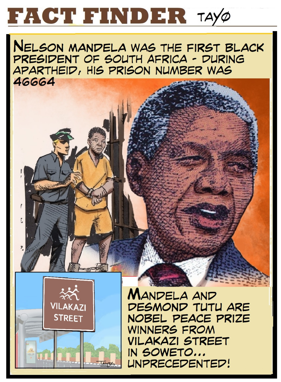 Fact Finder - Nelson Mandela