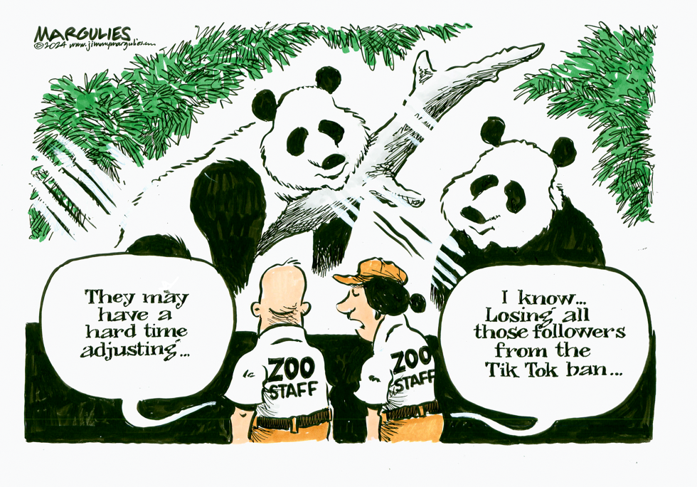  PANDAS COMING TO DC, SAN DIEGO ZOOS by Jimmy Margulies