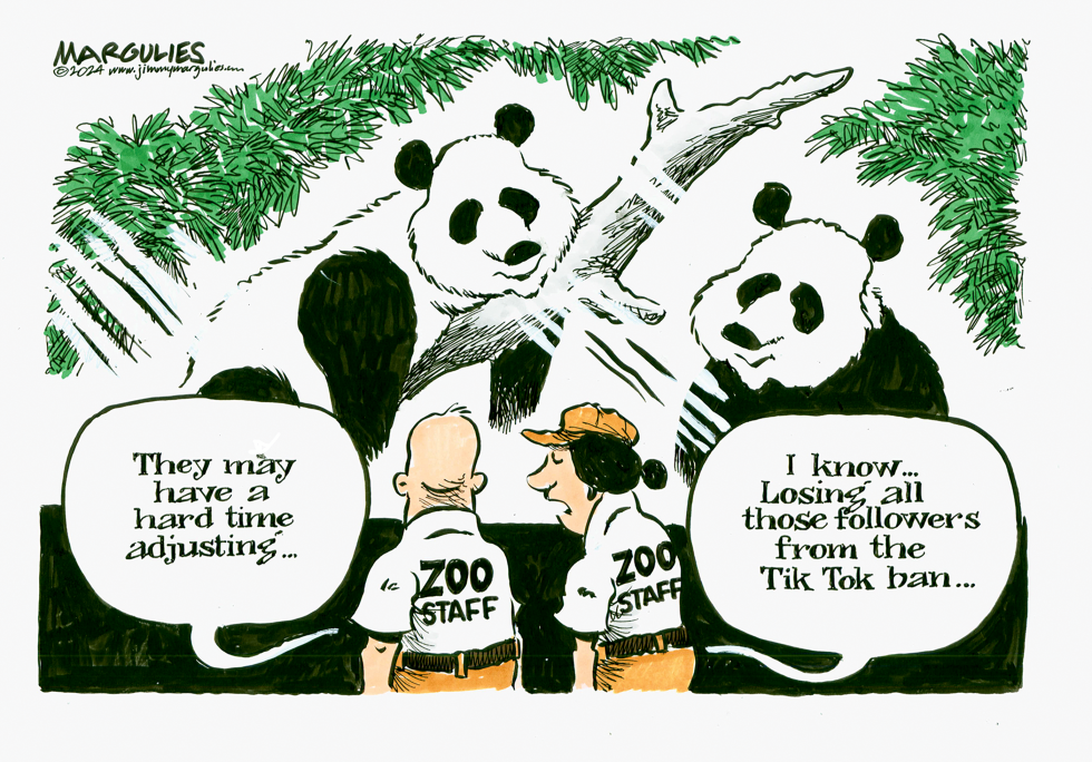 Pandas coming to DC, San Diego Zoos