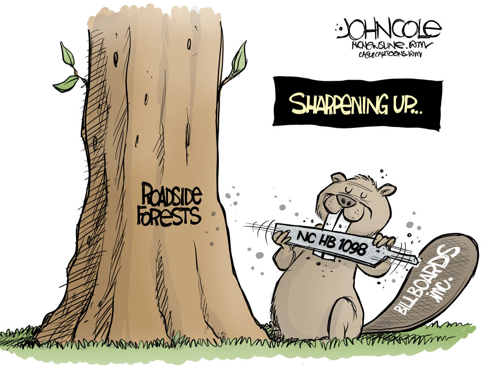 NOTH CAROLINA Billboards versus trees
