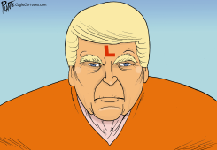 THE CONVICTED FELON by Bruce Plante