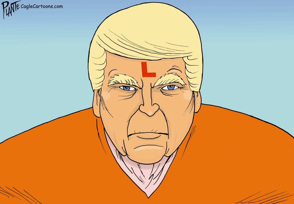 The Convicted Felon